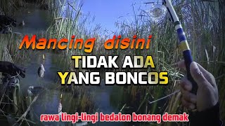 SPOT RAWA LINGI-LINGI BEDALON BONANG DEMAK