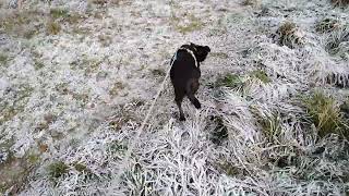 La nature festonnée de givre