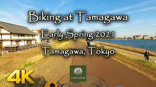 【4K】Go Pro Peaceful Biking at Tamagawa, Chofu, Tokyo (3/24/2021)