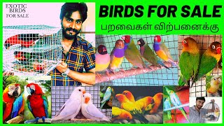 BIRDS FOR SALE  |  வெளிநாட்டு பறவைகள் விற்பனைக்கு | EXOTIC BIRDS - BREEDING PAIRS - PRICE LIST