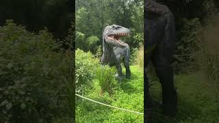 Hewan buas apagi yang ada disemak ini🫣 #shortvideo #shorts #dinopark #dinosaur #tyrannosaurusrex