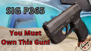 SIG P365 You Must Own This Gun