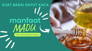 Manfaat Madu untuk Kesehatan: Lezat dan Berkhasiat