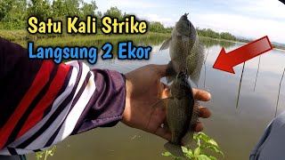 SPOT TERBAIK MANCING IKAN MUJAER || JEMPONG MANCING#JM-45