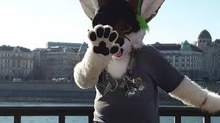 Fursang 2020 - Suitwalk