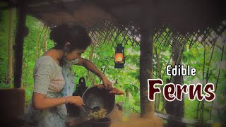 Finding out edible ferns for healthy lunch | Ceylon village lifestyle | Village type cooking