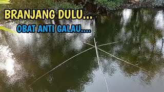 BRANJANG MANIA berburu ikan dengan alat tradisional || Hanco ikan || nangkul ikan