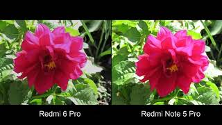 Xiaomi Redmi 6 Pro Vs Xiaomi Redmi Note 5 Pro Camera Comparison