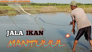 Menjala ikan mantap walau ikannya kecil kecil dapatnya.