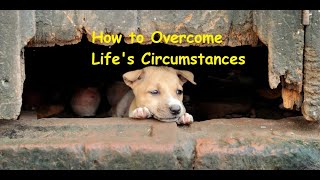 How to Overcome Life's Circumstances