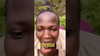 #drole #viralvideo #senegambia