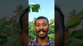 simple spoken English in tamil