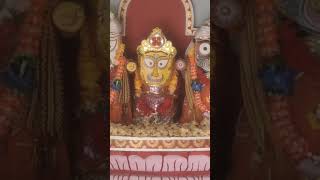 jay jagannath #shorts # mahaprabhu jagannath #shortvideo