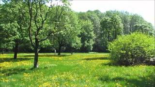 Park Olszyna w Warszawie na Bielanach