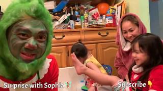 The Grinch who stole from Sophia