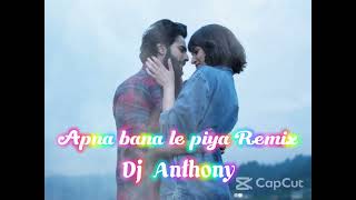 Tu Mera Koi Na Hoke Bhi Kuch Lage (Apna bana le piya) remix Dj Anthony