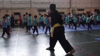 Workshop Pencak Silat