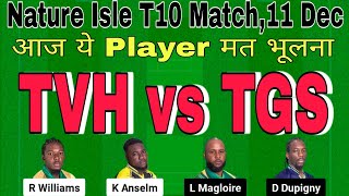 tvh vs tgs dream11 prediction today match.tvh vs tgs t10 dream11.nature isle t10 dream11 team today