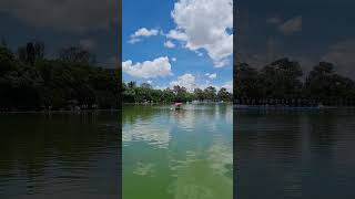 Lago mayor chapultepec#chapultepec #lagomayor #cdmx #paseo #mexico #mexicotourism