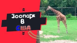 ЗООПАРК В США!!! Часть #1