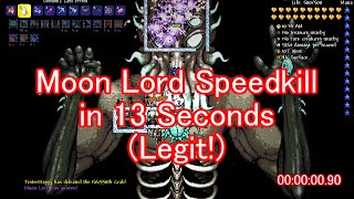 Terraria - Moon Lord Speedkill in 13 seconds