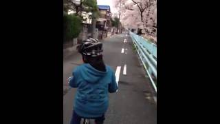 Hanami bike ride.