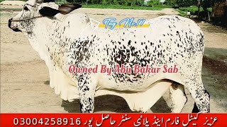 Owned by Abu Bakar Sab Karachi Not For Sale