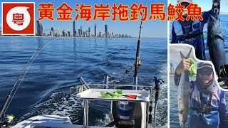 🛥️🎣 【澳洲黃金海岸】 第一次試深海拖釣馬鮫, 終於有餐好食 (粵語|中英字幕)