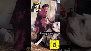 يمه ايش هذا احد يعرف اسمه