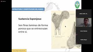 Osteología veterinaria-parte 1