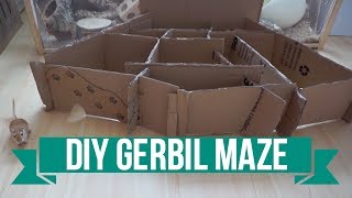 DIY Gerbil Maze