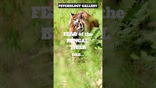 FEAR of the BENGAL TIGER can do THIS!!! 🤔 #shorts #shortsvideo #motivation #psychology