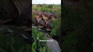 Jungle Life ULAMAN BALI | Newly Built Hotel In BALI #shorts