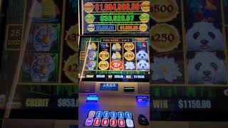 Dragon Links Slots $250 max bet bonus win #slots #shortsvideo #jackpot