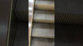 Lifts, Elevators & Escalators |Bashundhara City Shopping Complex