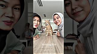 meow 😸 #tpyシ #beautiful #tiktok #trending #best #challenge