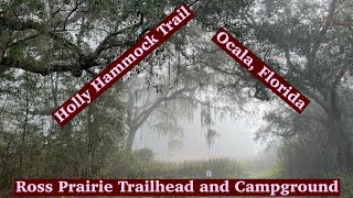 Ross Prairie Trailhead and Campground SP. Holly Hammock Trail. Near Ocala, Florida.