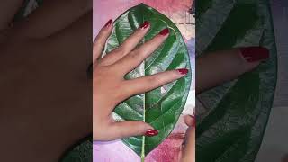 ||leaf cutting art||m s dhoni||captain cool|| legend||#shortvideo #viral #karabi #leaf #art#artist