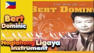 Naglahong Ligaya-Bert Dominic Instrument Minus One karaoke LYRICS