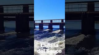 PASEO A LA LAGUNA DEL SAUCE EN MALDONADO