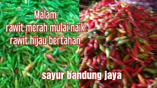 Info malam  sayuran ,cabe,bawang dll                 15 sampai 16 subuh mei 2024 #pasarinduk bandung