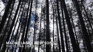 MacMillan: A new song