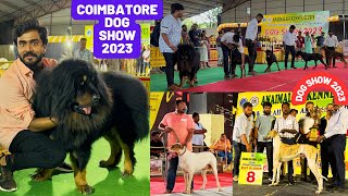 DOG SHOW 2023 @ COIMBATORE  | நாய்  கண்காட்சி 2023  #dogshow #ukc