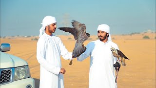 🦅 Unbelievable daily routine | falconry | desert vlog