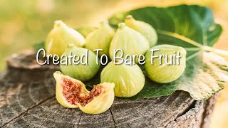 Created To Bare Fruit