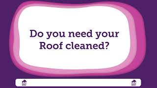 Purple Rhino are leaders when it comes to roof cleaning