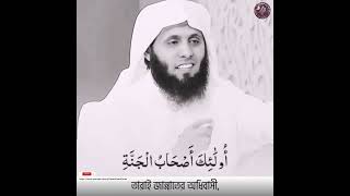 Surah Fushshilat | Holy Quran with the voice of Mansour Al Salmy