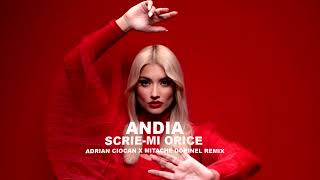 ANDIA - Scrie-mi Orice (Adrian Ciocan x Mitache Dorinel Remix)