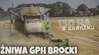 Wielkie Żniwa w GPH Brocki 2020 🔥 [3x Kombajny] Big Harvest in Poland 🔥 AGRO Wiesniak™