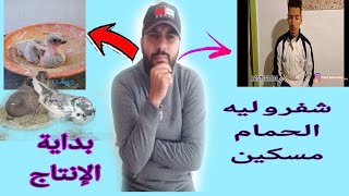 مسكين oualid ad شفرو ليه الحمام 😠 وبداية انتاج حمام السيفيانوس وتوليعة فالدكور